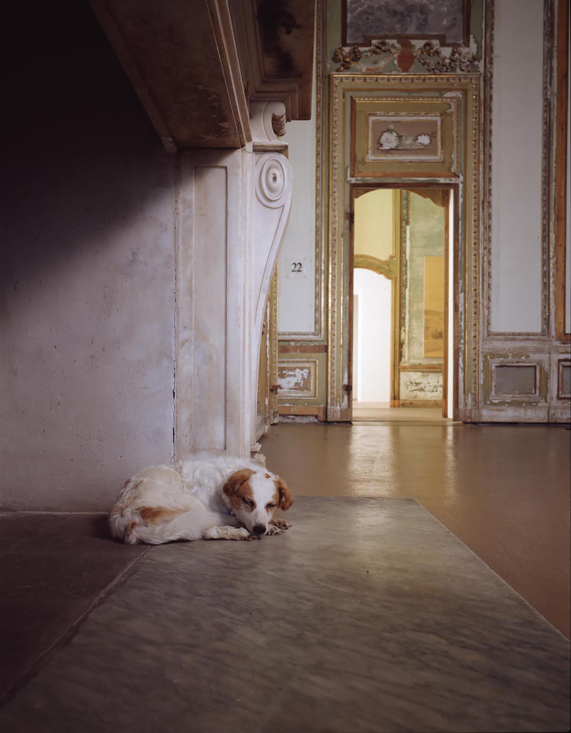 Maurizio Cattelan, Stone dead, 1997